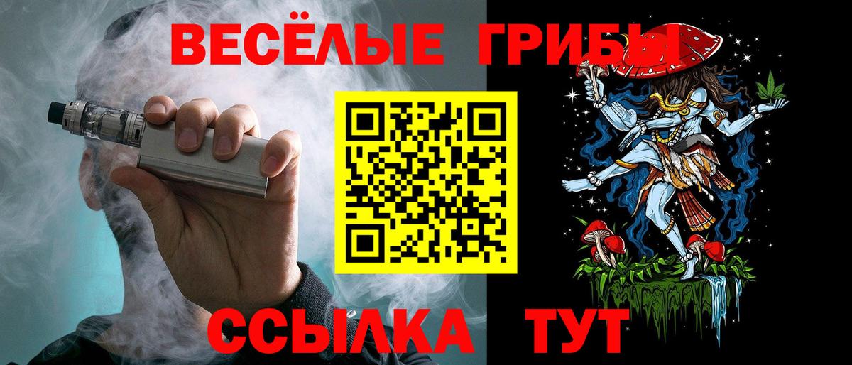 Алексин  Псилоцибиновые грибы мицелий  Вход с VPN 